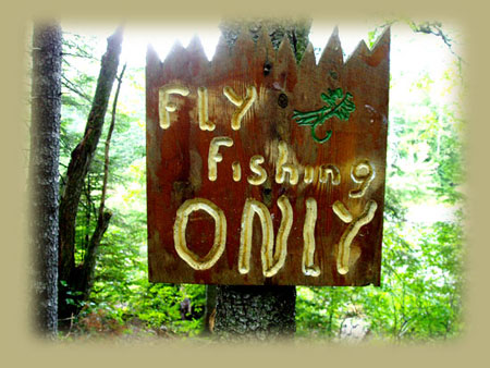 Sign: Fly Fishing Only